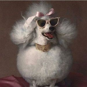 Meet your Posher, Catherine